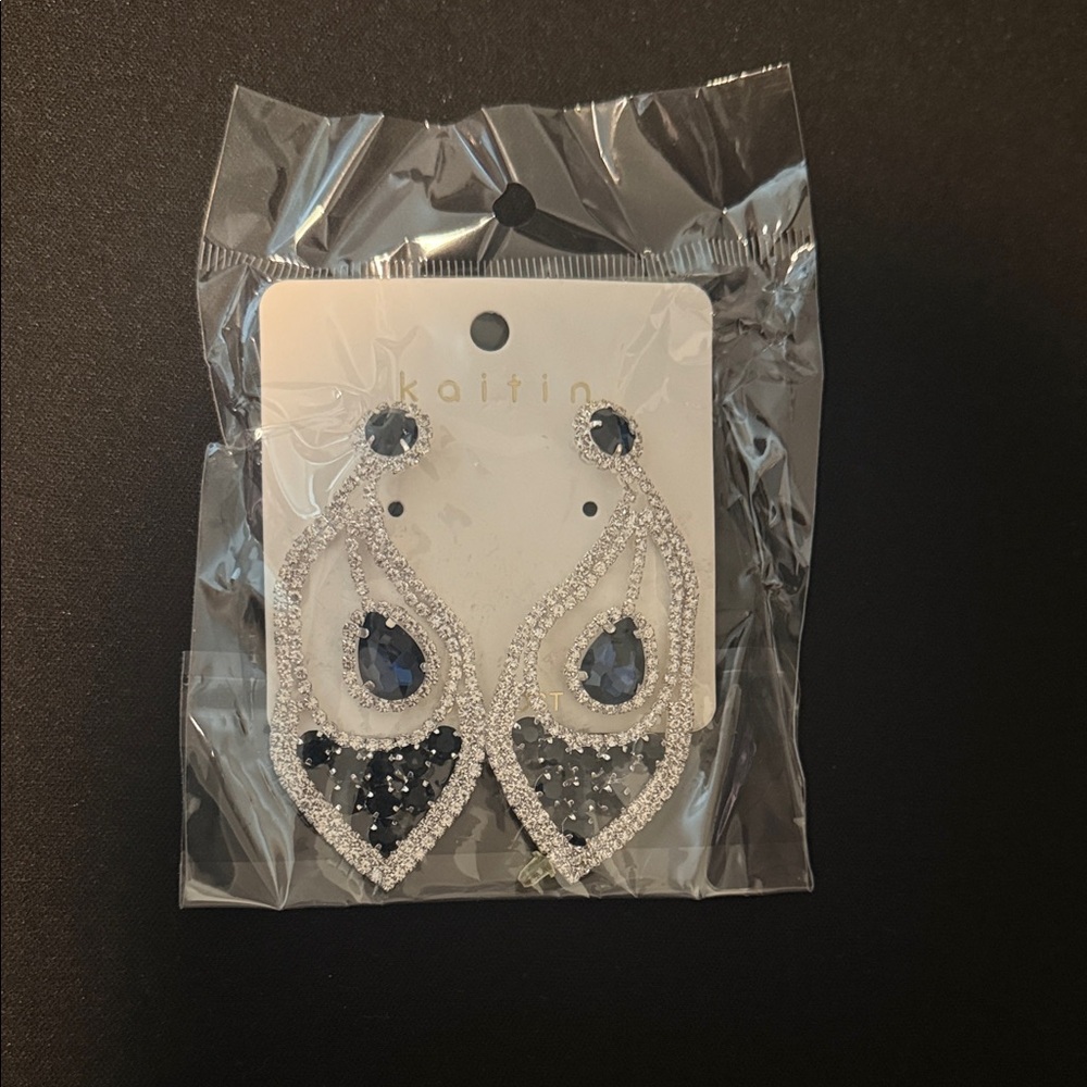 Katin Silver and Blue Teardrop Earrings
